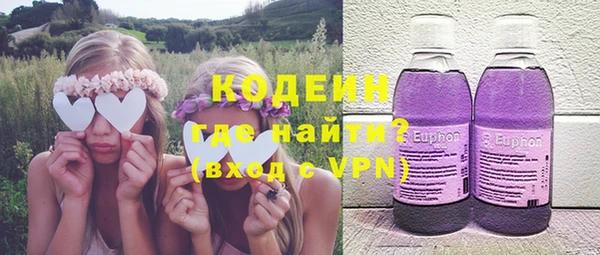 индика Ачинск