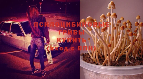 марки lsd Надым
