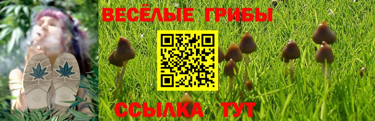 Псилоцибиновые грибы мицелий  Новомосковск 