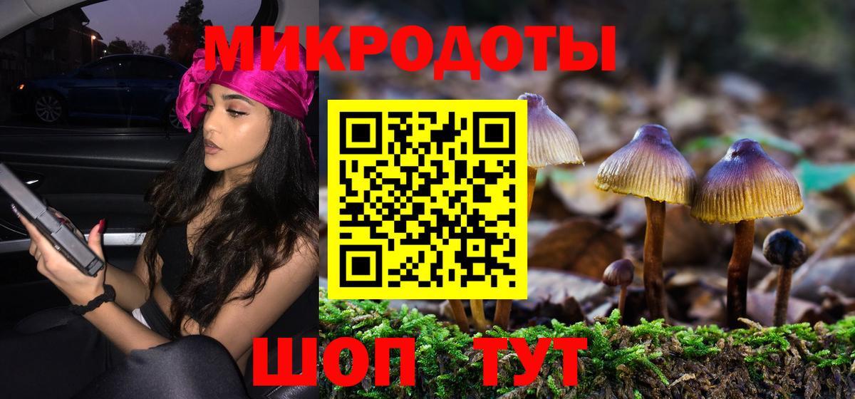 Галлюциногенные грибы Psilocybe Новомосковск