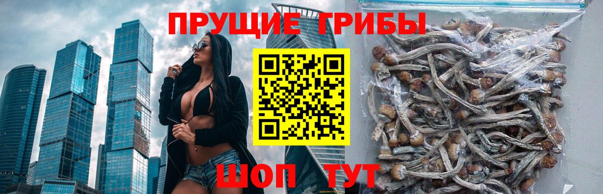 Псилоцибиновые грибы прущие грибы  Псилоцибиновые грибы Psilocybe  Новомосковск  Вход с VPN 