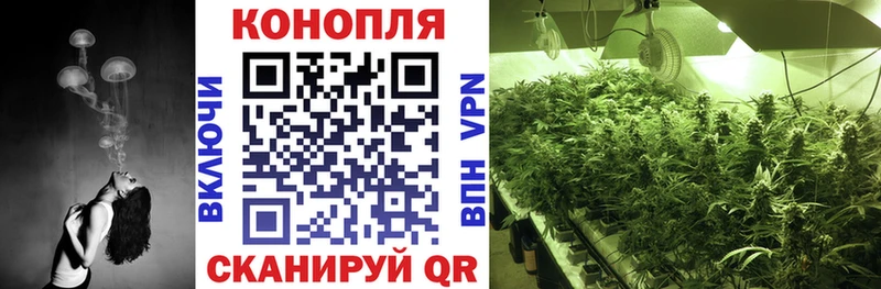 наркотики  Новомосковск  Шишки марихуана White Widow 
