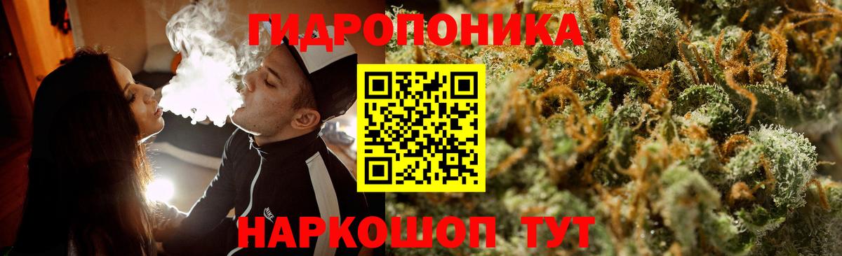 Бошки марихуана конопля  Вход с VPN  Новомосковск  МАРИХУАНА семена  Марихуана индика 